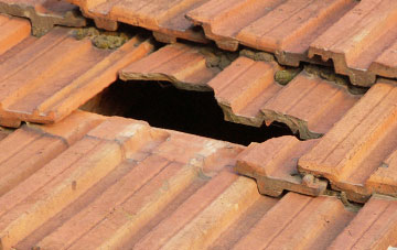 roof repair Glamis, Angus